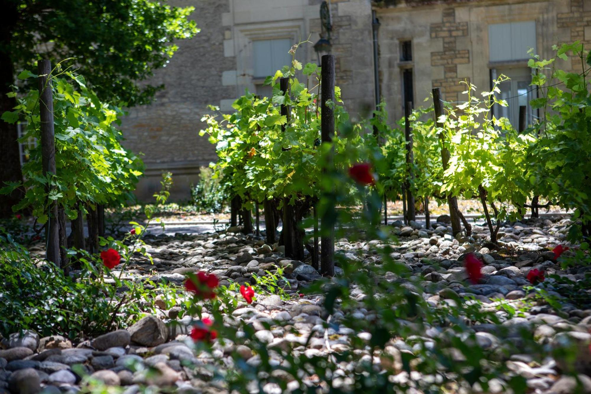 Domaine De Monrecour - Hotel & Restaurant - Proche De Sarlat Saint-Vincent-de-Cosse Exterior photo